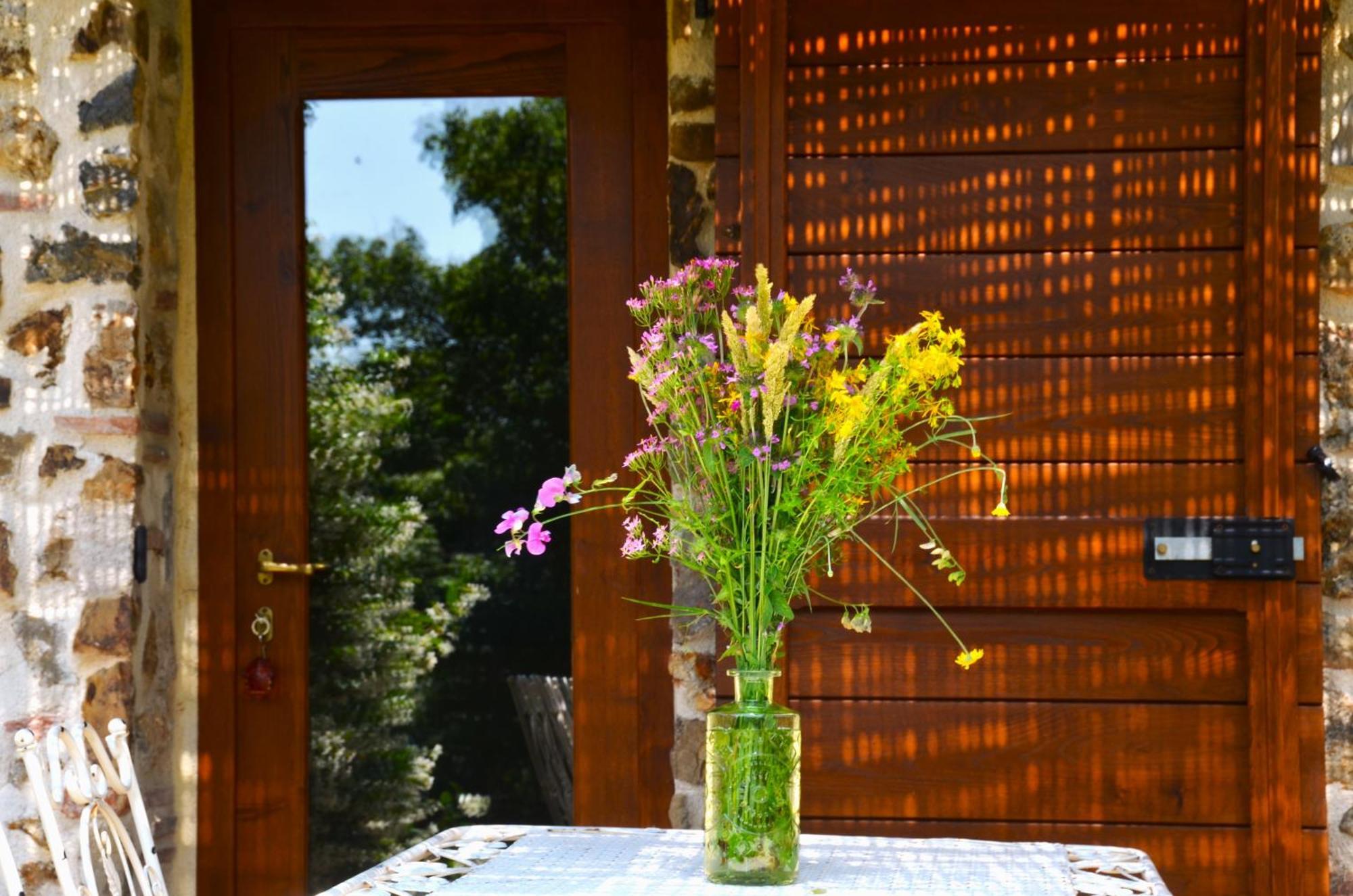 마사마리티마 Il Venaio B&B 외부 사진